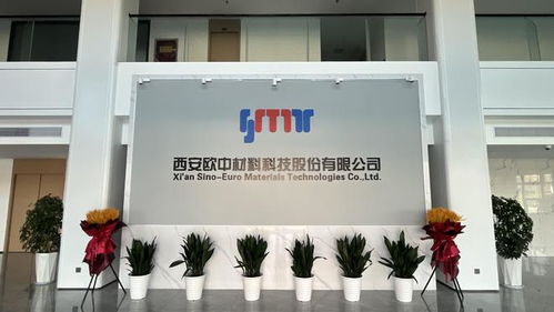 科學(xué)家精神融入產(chǎn)業(yè)模式突破 西安經(jīng)開區(qū)這樣打造新材料高地