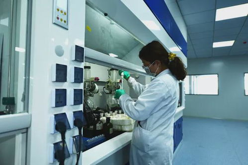 科技創(chuàng)新引領(lǐng)，為石島高質(zhì)量發(fā)展強(qiáng)基賦能 聚焦集成電路芯片設(shè)計(jì)及服務(wù)